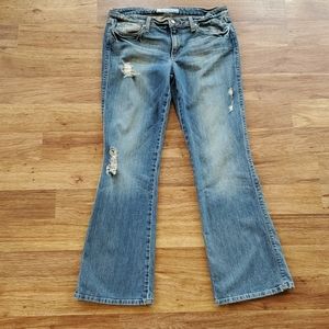 Joe's Jeans Women's Boot Cut in Light Blue